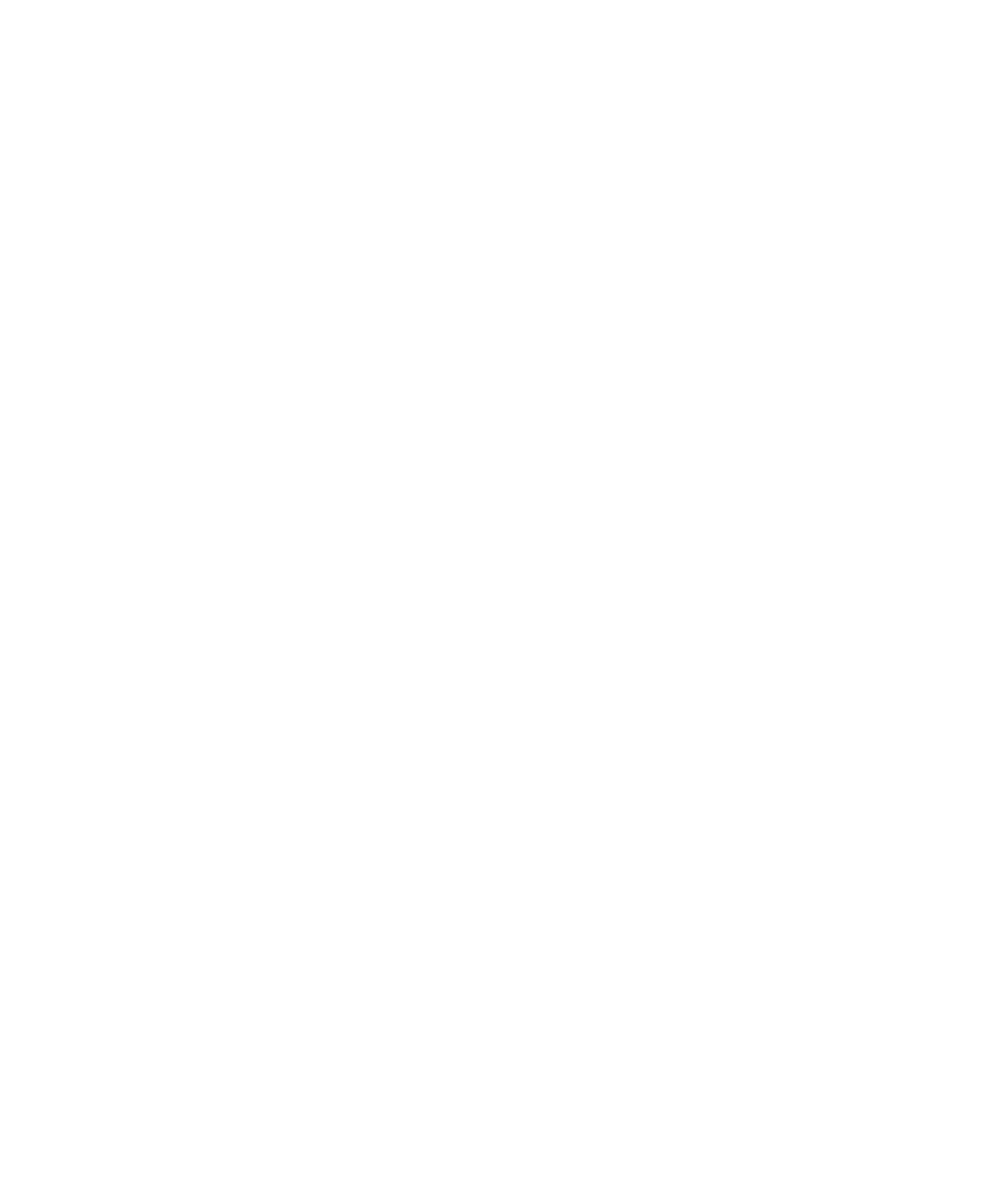 Art Corner